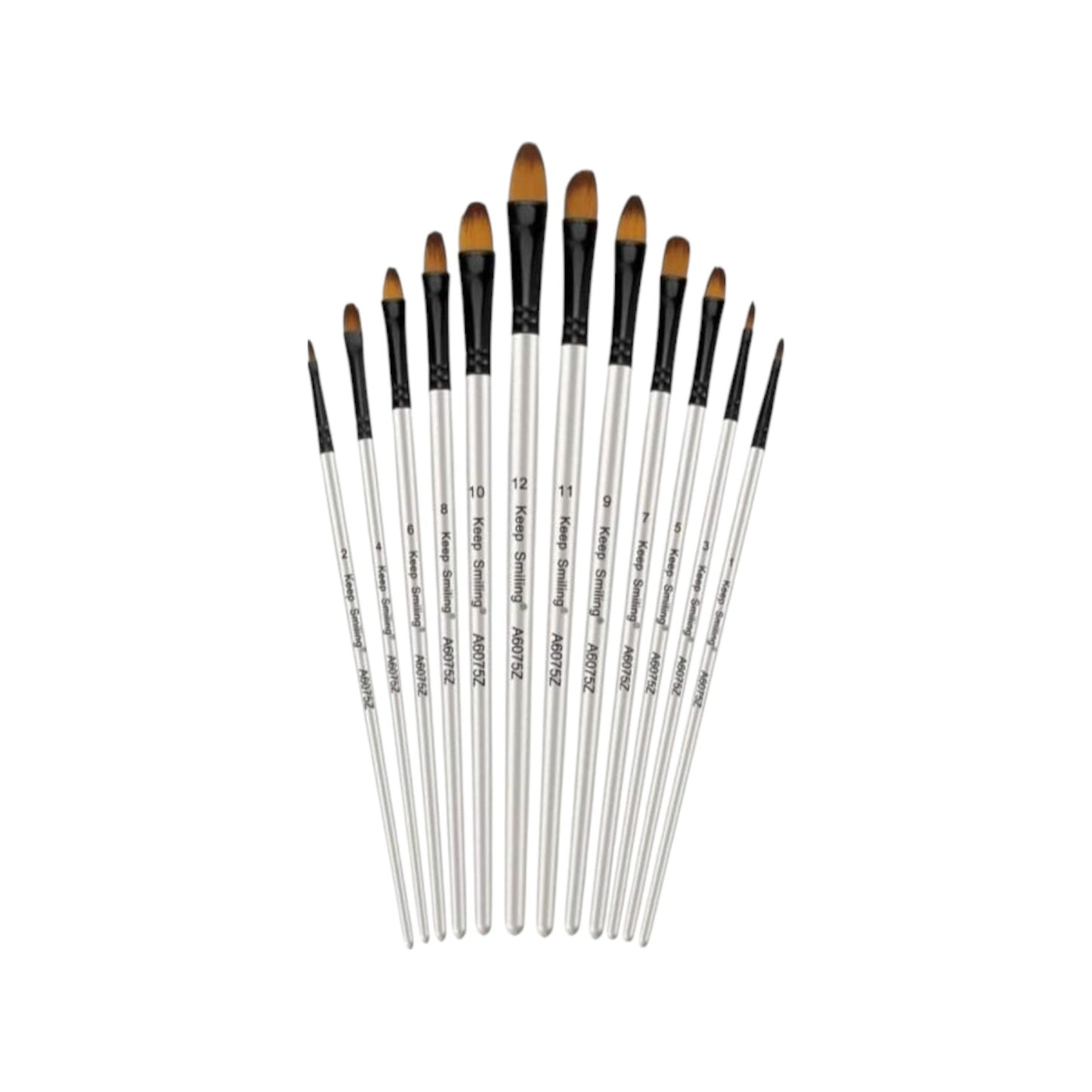 Keep Smiling Set of 12 Brush Long Handel Fiber Brush - No:A6075Z