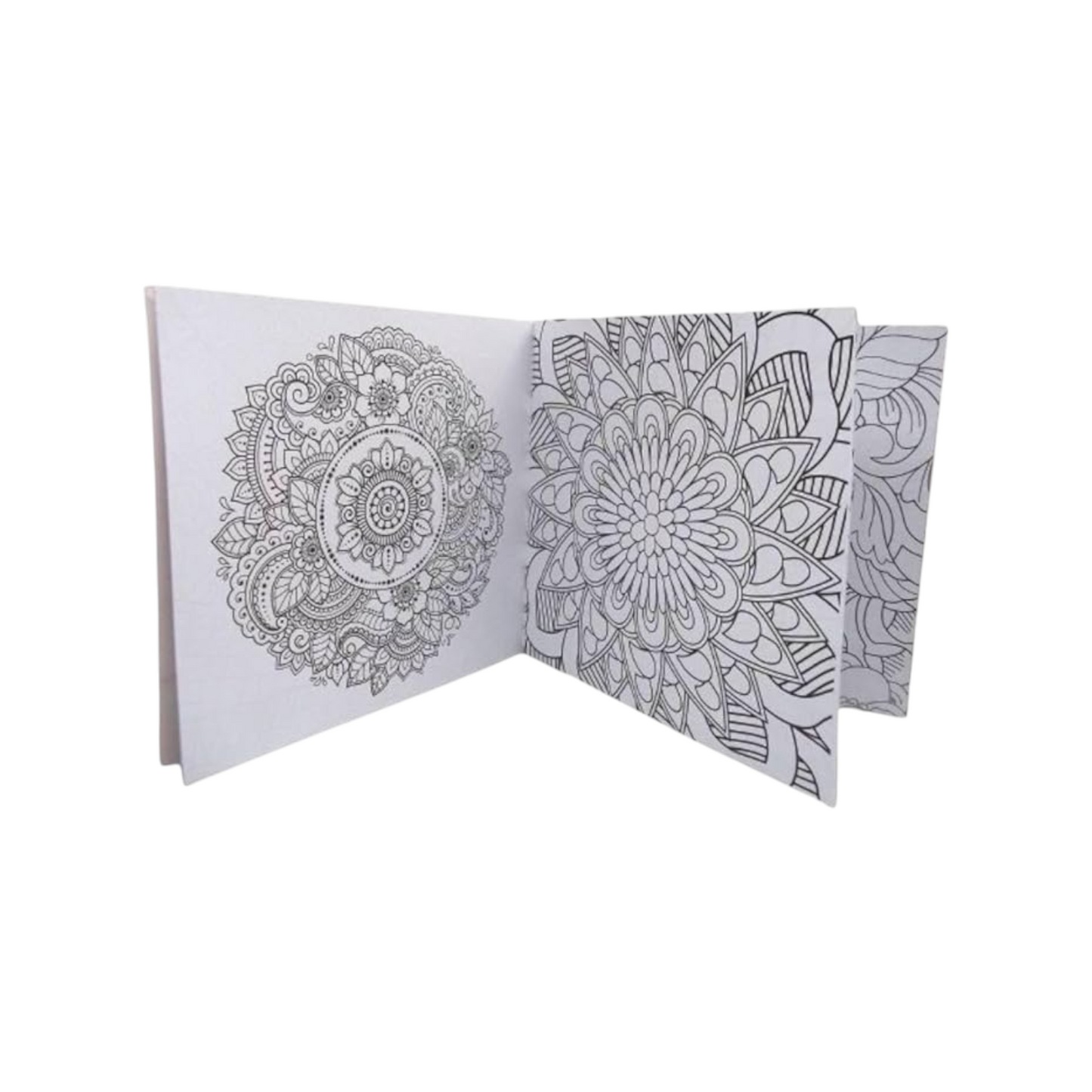 Coloring Book 24 Professional Drawing ( Flowers )