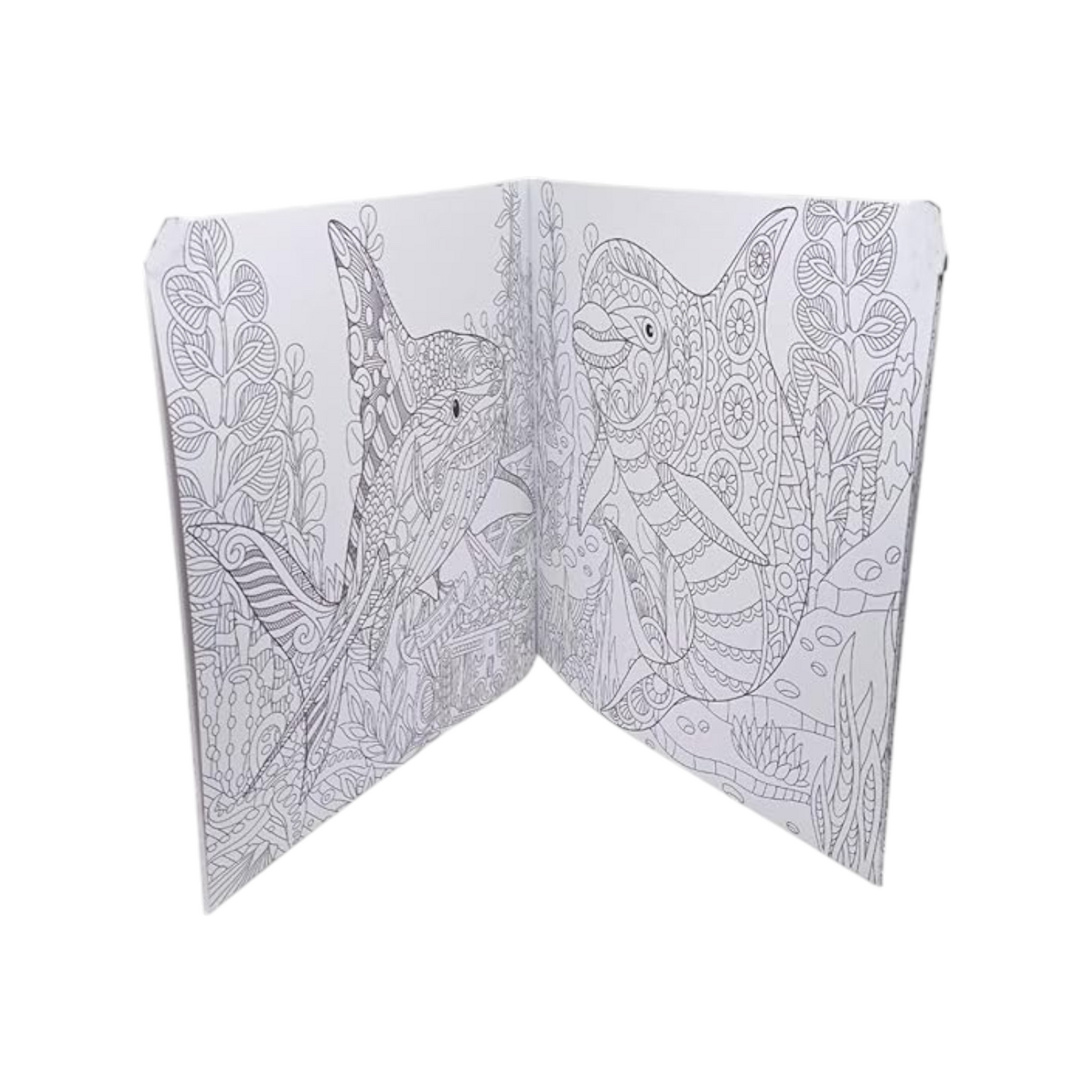 Coloring Book 24 Professional Drawing