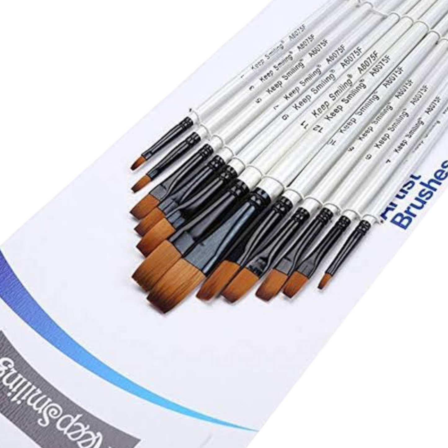 Straight Paint Brushes With Wooden Handle Paint Brush Se Set of 12 (A6075F)