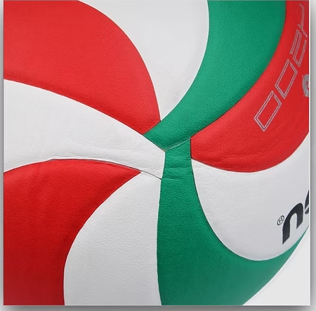 Molten V5M4500 Official Volleyball, Size 5