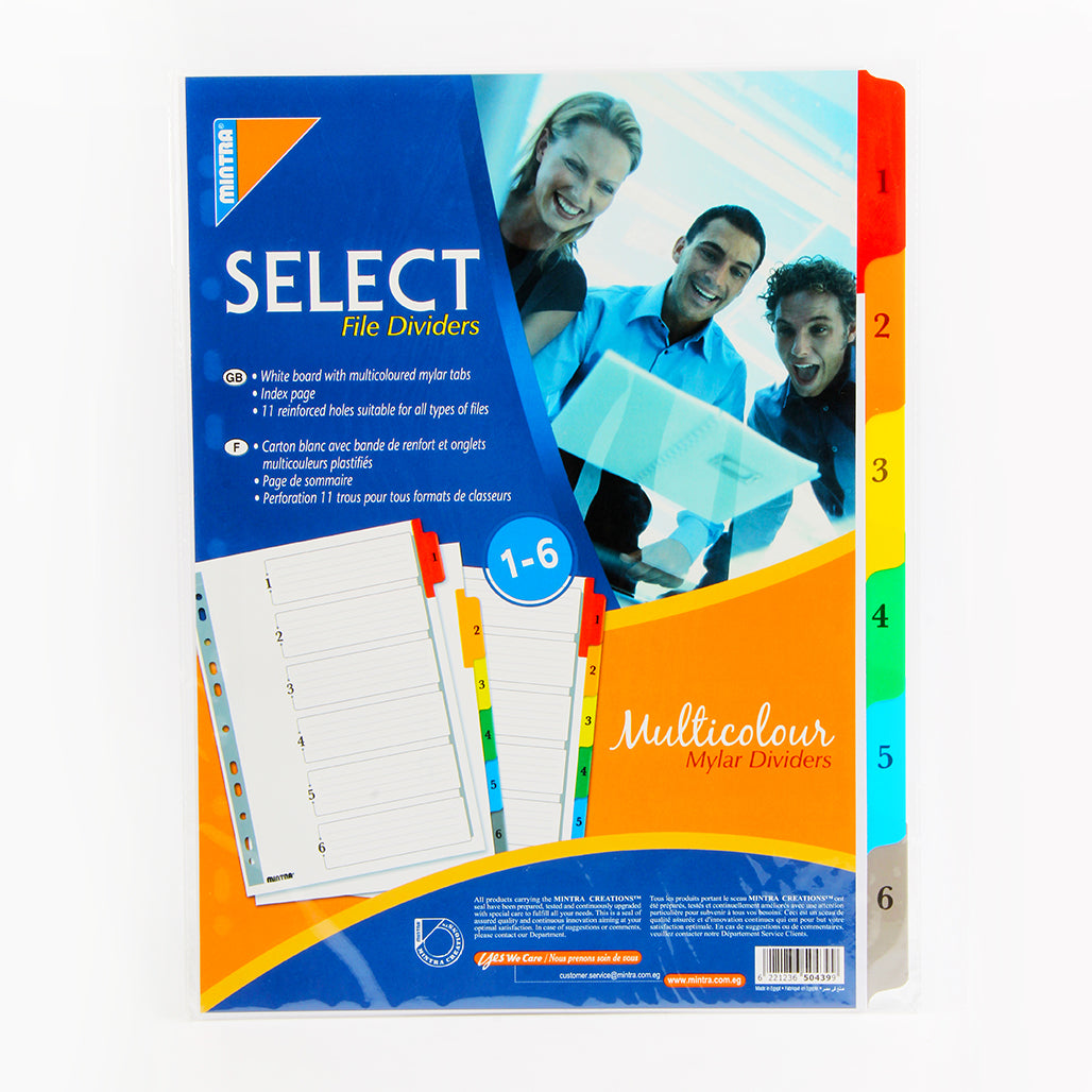 Mylar Dividers with Cardboard Tongue Plastic 1:6 Colors – Mintra