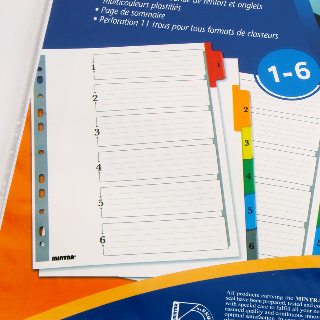 Mylar Dividers with Cardboard Tongue Plastic 1:6 Colors – Mintra