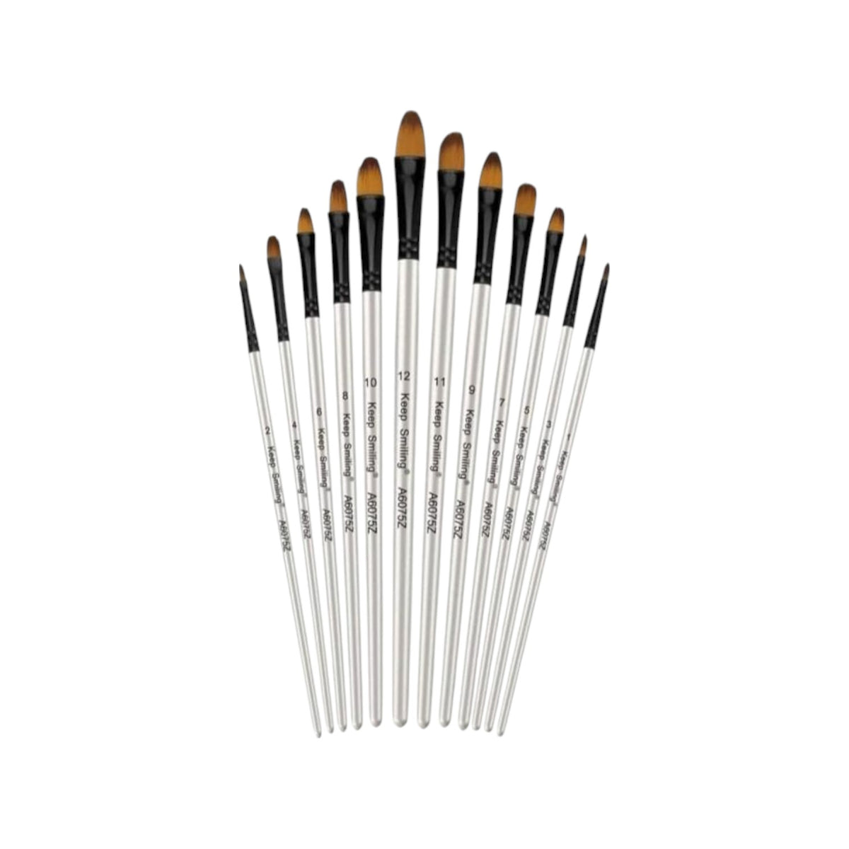 Keep Smiling Set of 12 Brush Long Handel Fiber Brush - No:A6075Z