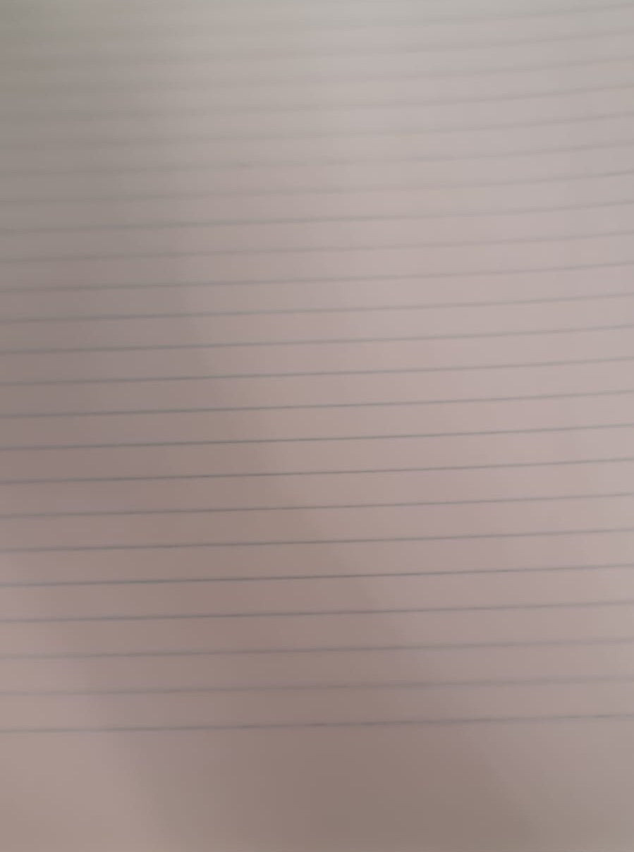 University Notebook Wire 80 Paper Lined 70g  Colored Paper