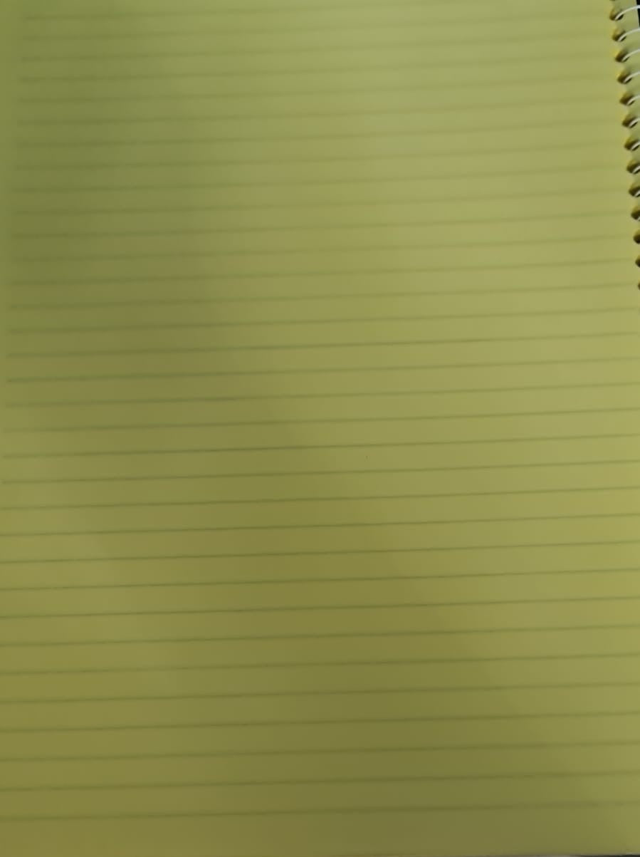 University Notebook Wire 80 Paper Lined 70g  Colored Paper