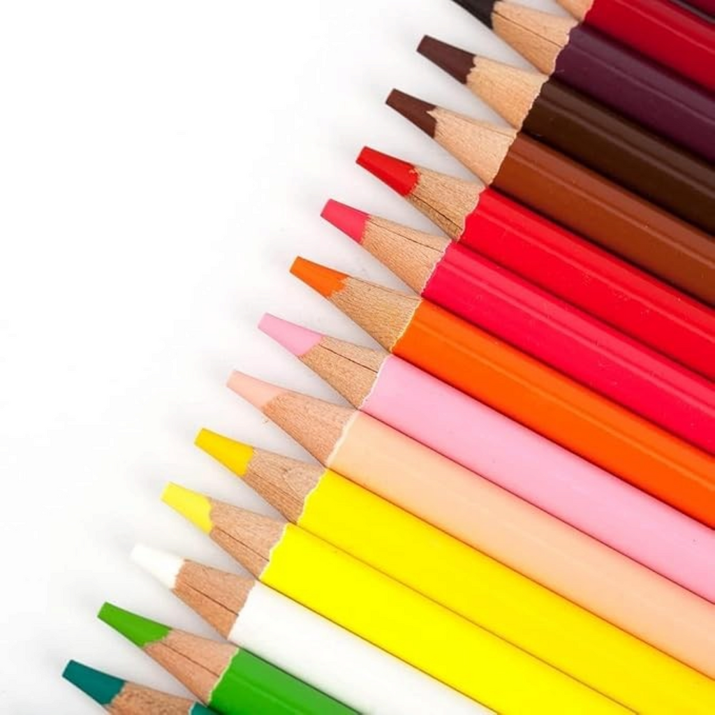 Elite Stationery House Neoni oil paint pencils in a vibrant spectrum of colors arranged diagonally on white background