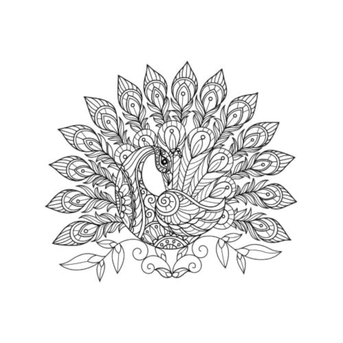 Birds Mandala Colouring Book - 40 Pages