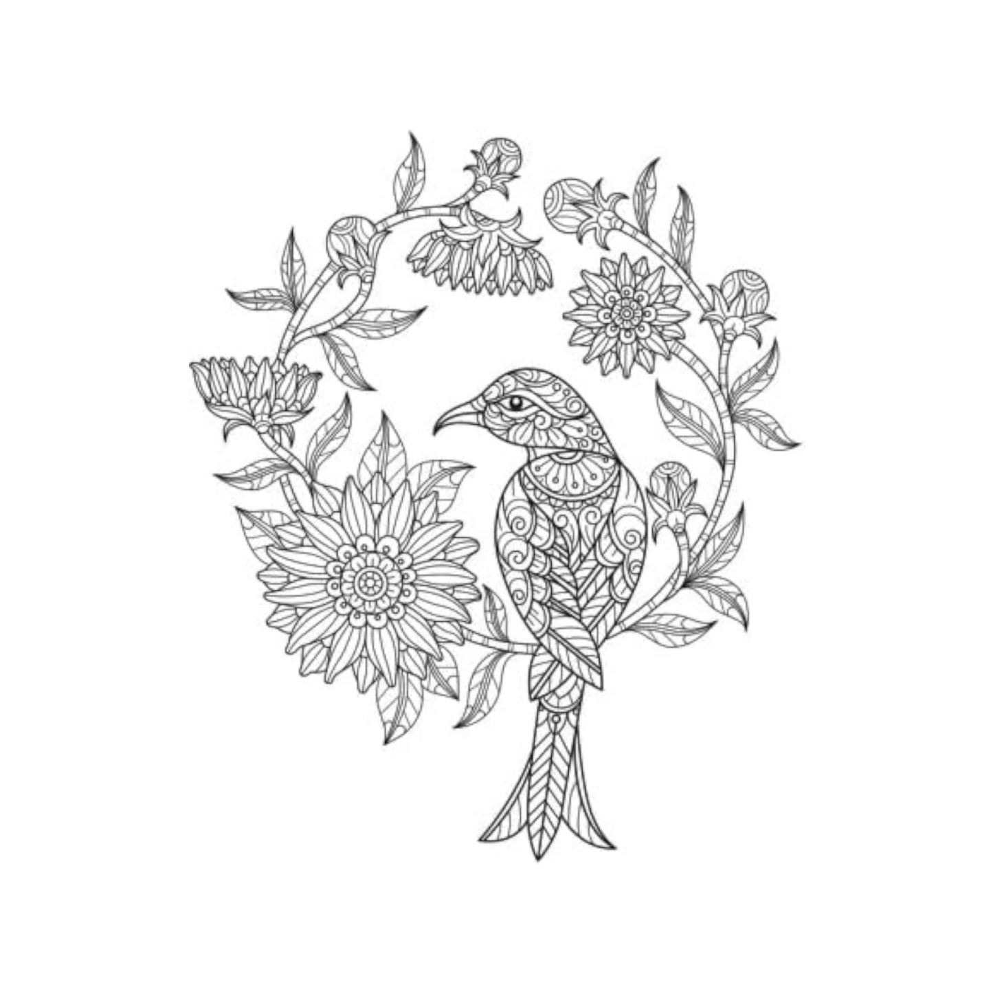 Birds Mandala Colouring Book - 40 Pages