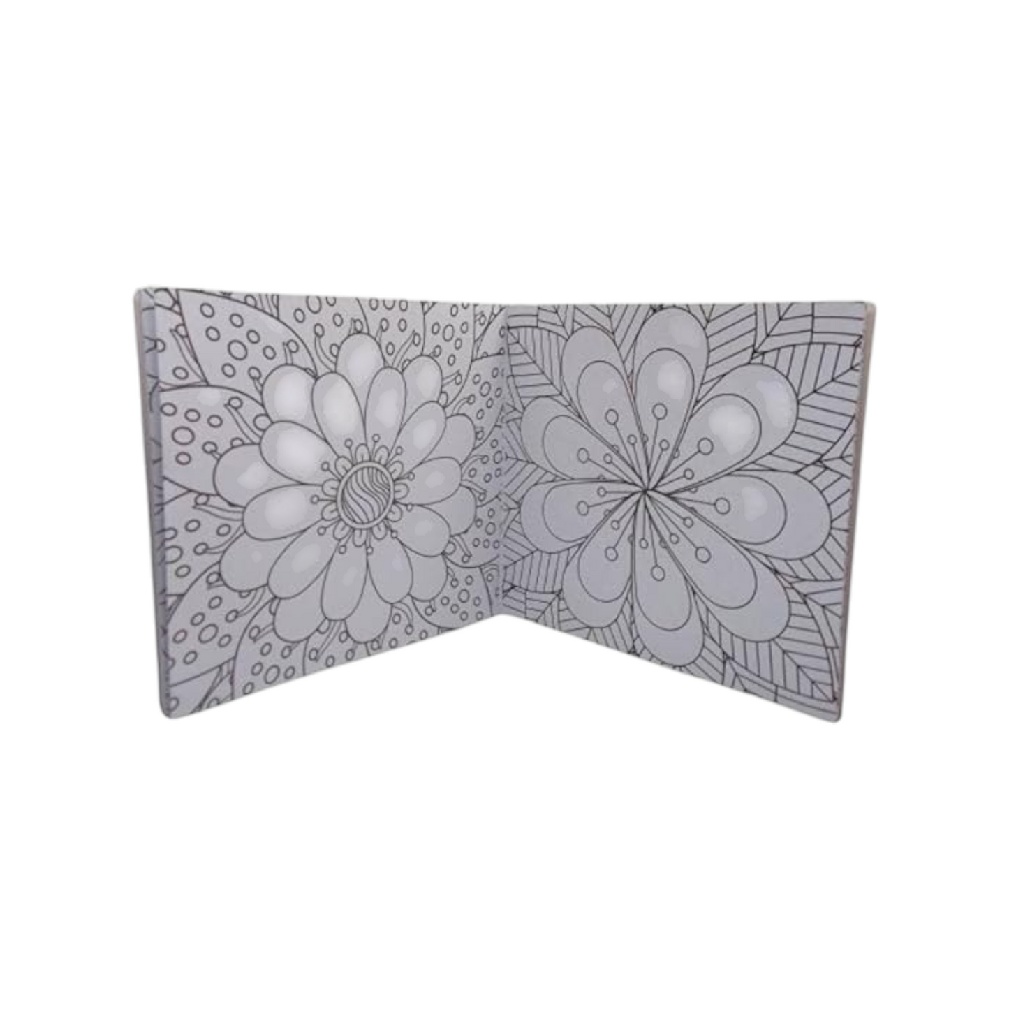 Coloring Book 24 Professional Drawing