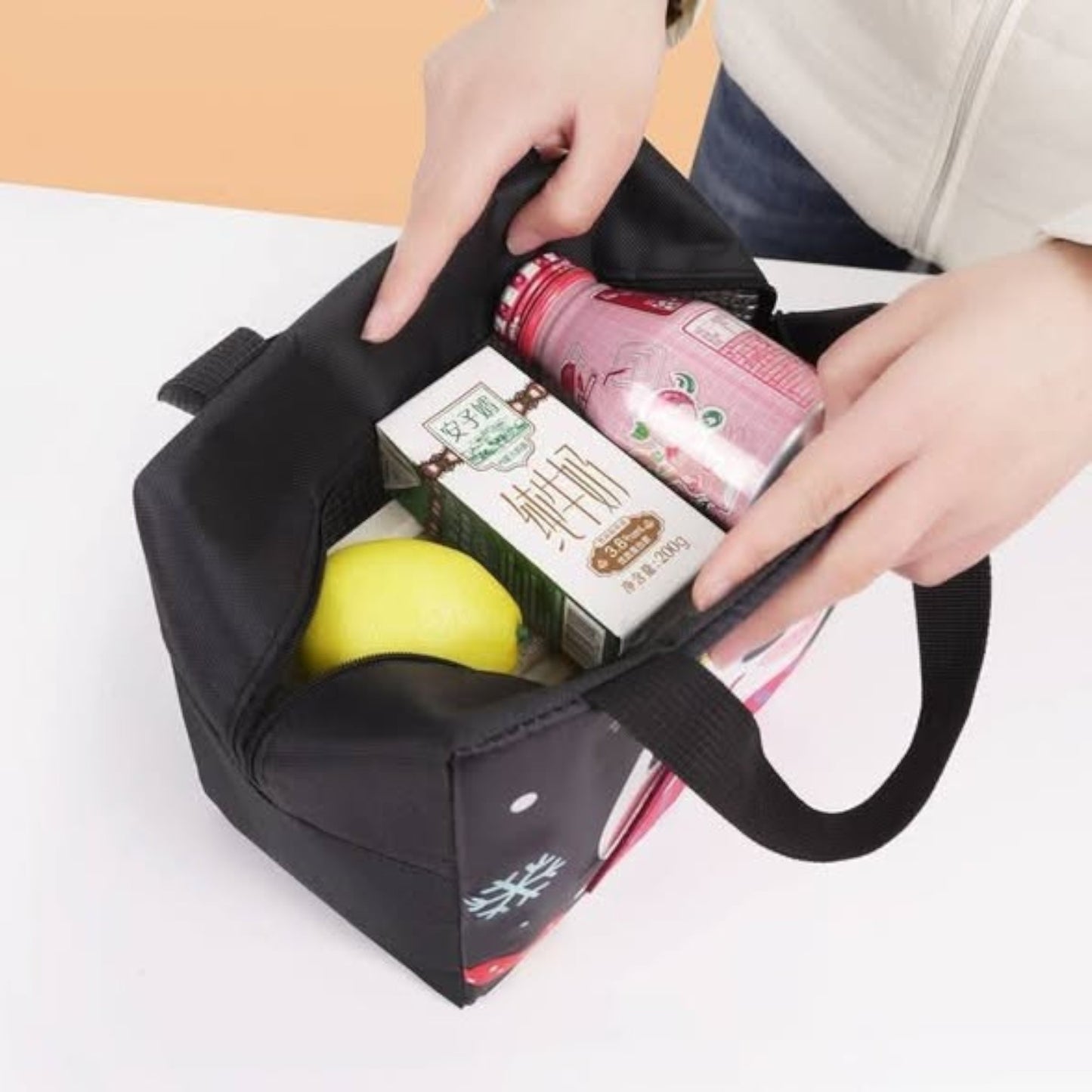 Cute Insulated Lunch Box Bags