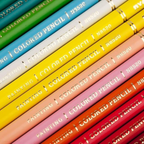 Elite Stationery House Neoni oil paint pencils in a vibrant assortment of colors with gold foil lettering