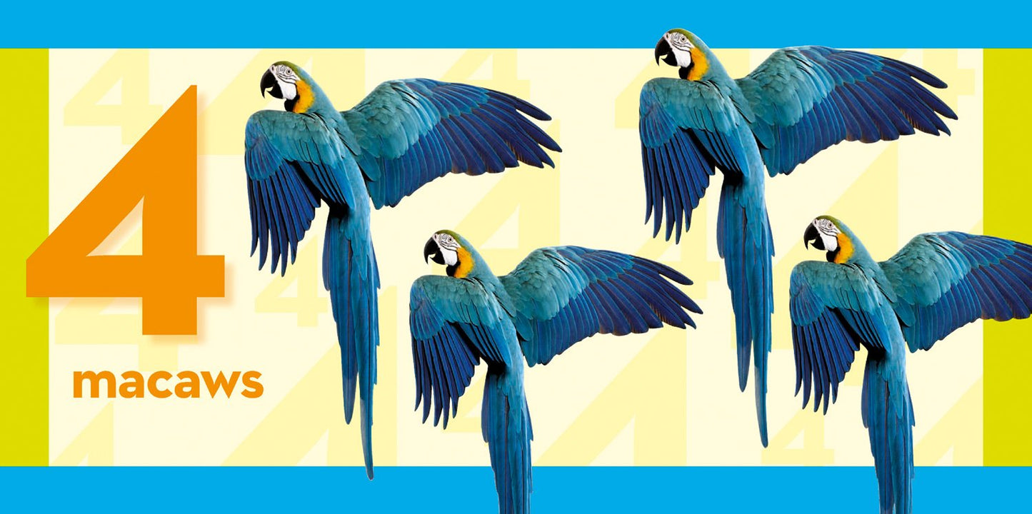 National Geographic Book – Count