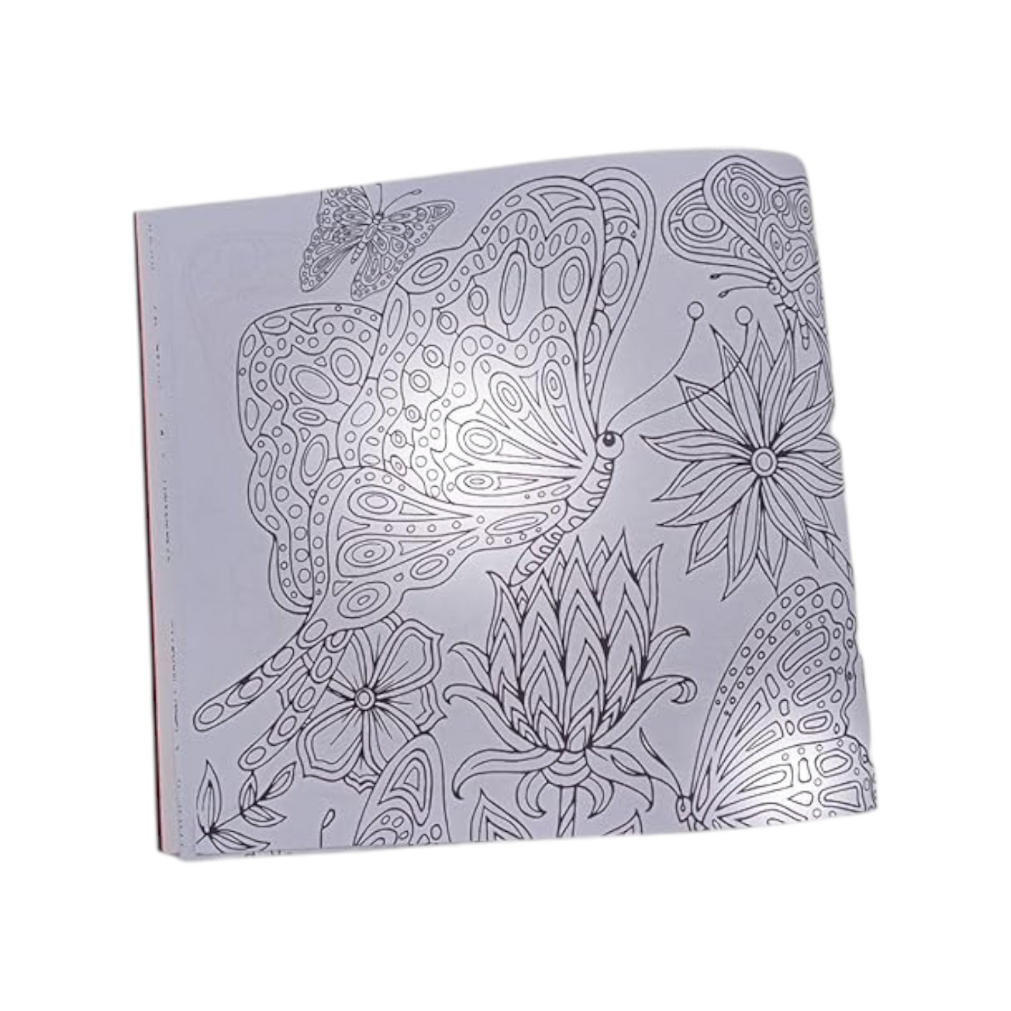 Coloring Book 24 Professional Drawing