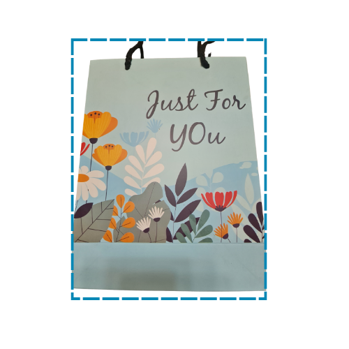 Cartoon Medium Gift Bags 24x18