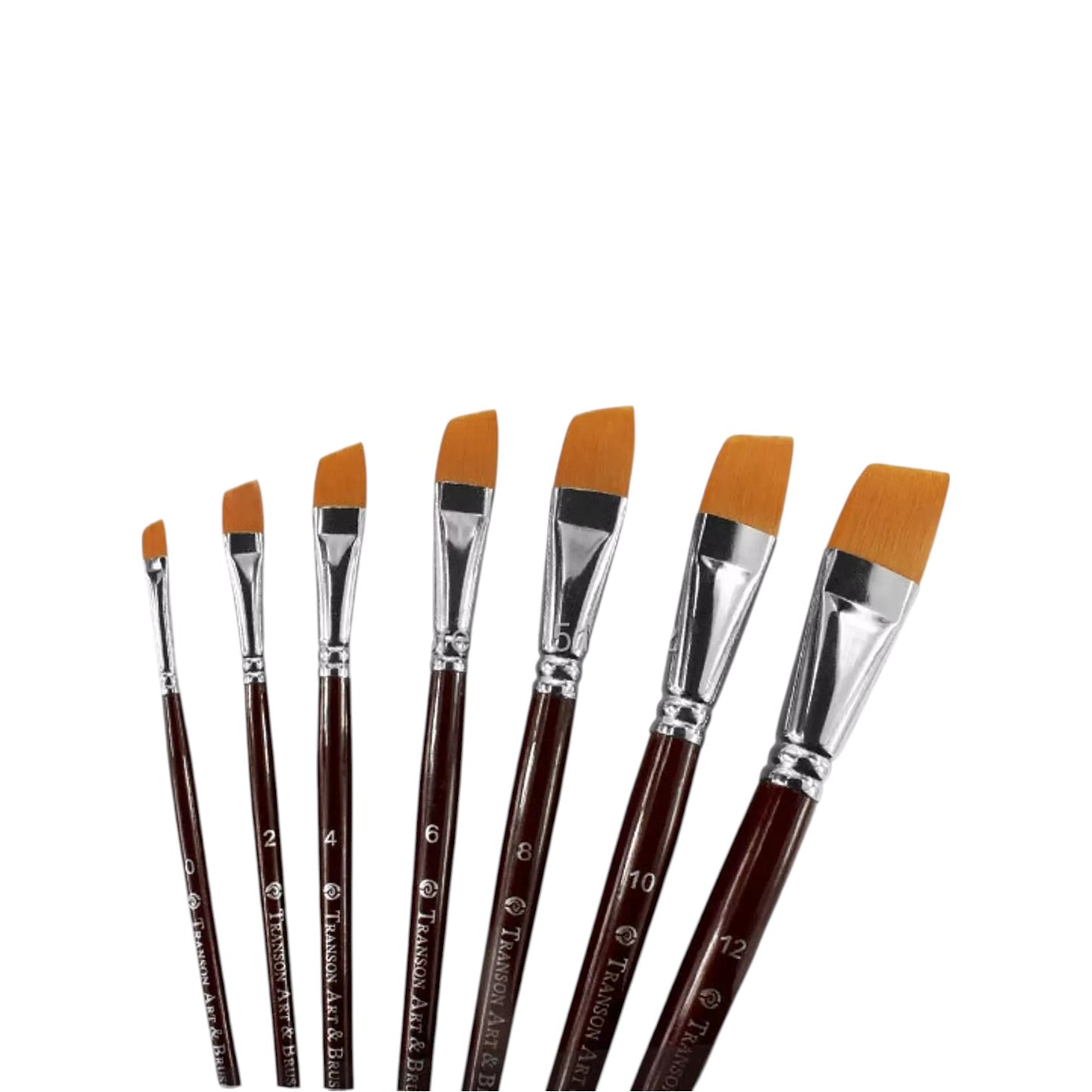 45° Angled Paintbrush (Various Sizes)