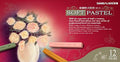 Soft Pastel Colors 12 Colors Shades - Simbalion 01- SP- 12