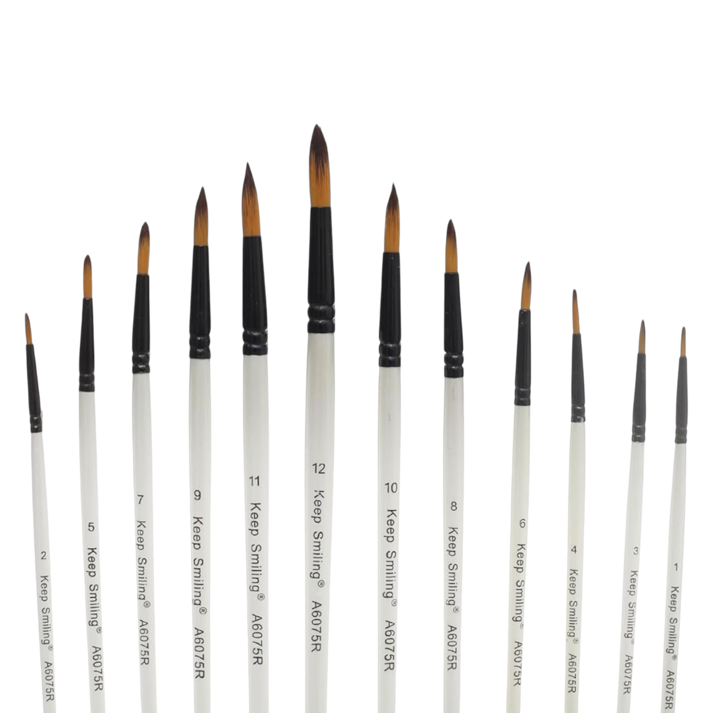 Keep Smiling Set of 12 Brush Long Handel Fiber Brush - No:A6075R