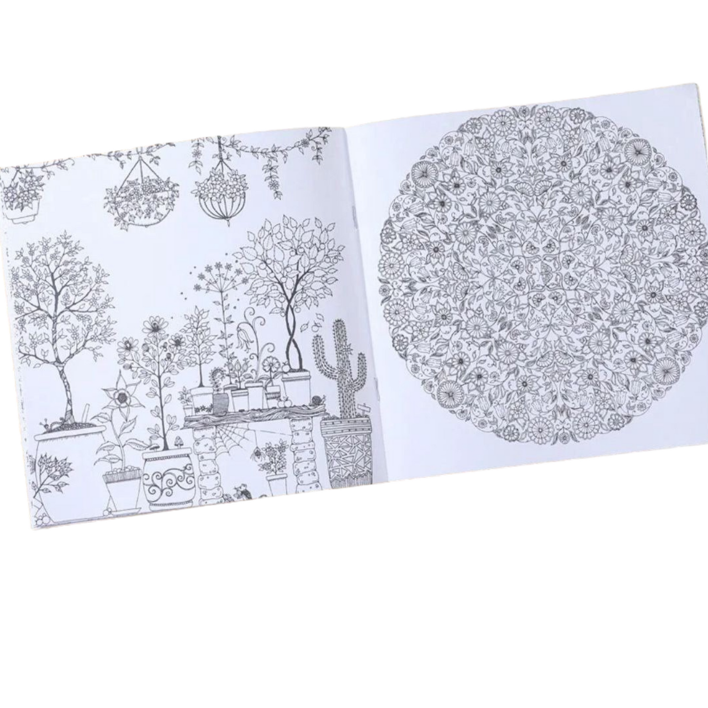 Fairy Tales And Magical Dreams Coloring Books