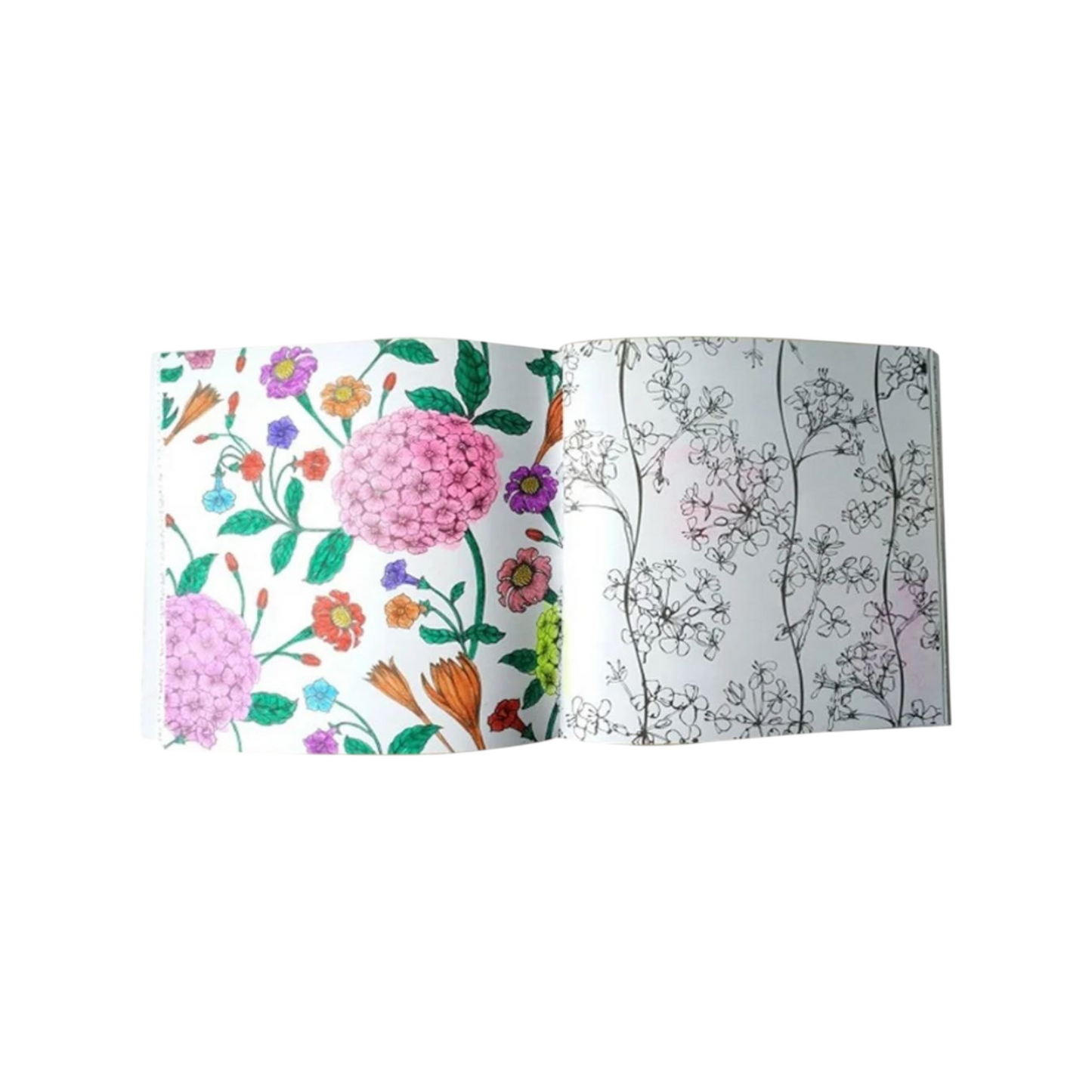 Fairy Tales And Magical Dreams Coloring Books