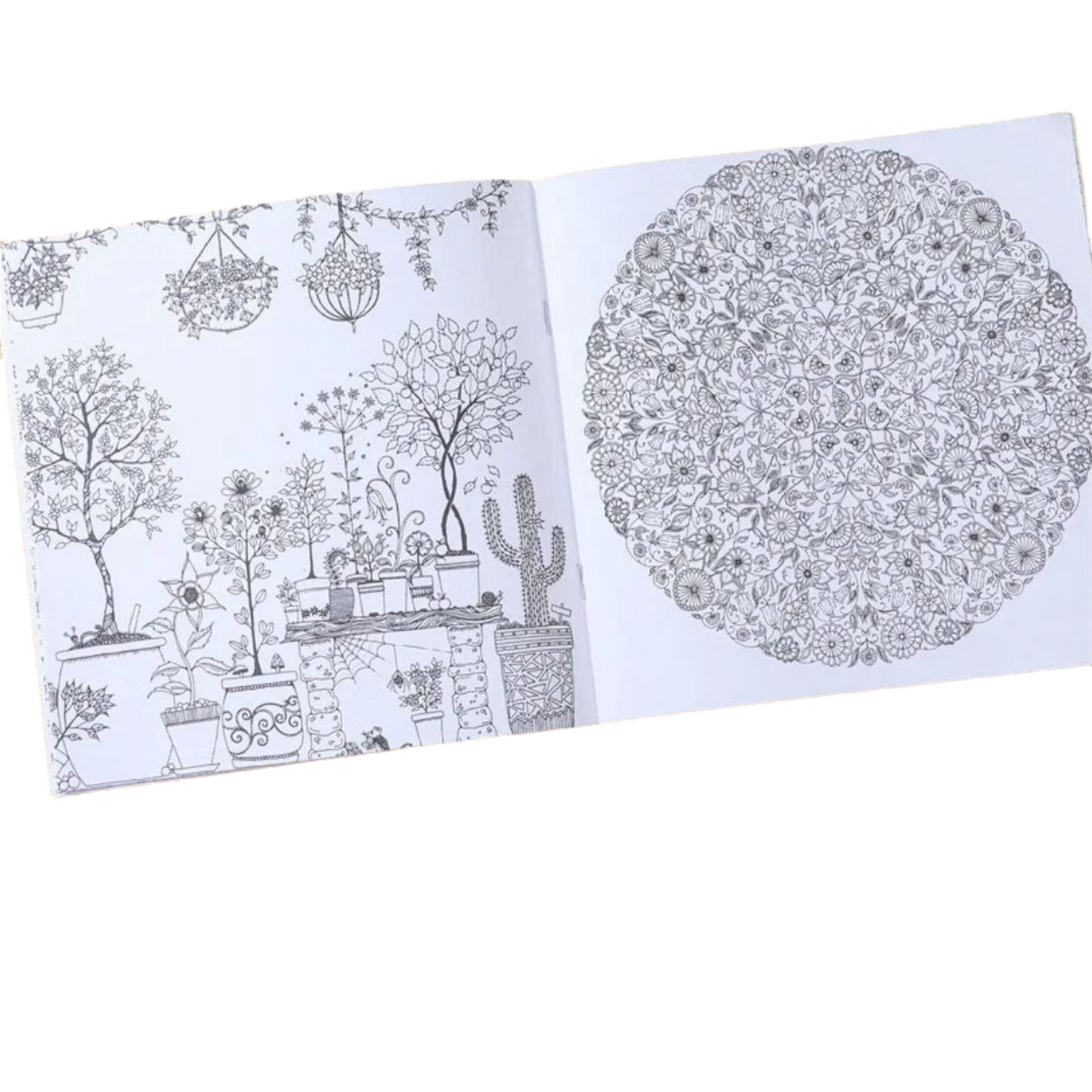 Fairy Tales And Magical Dreams Coloring Books