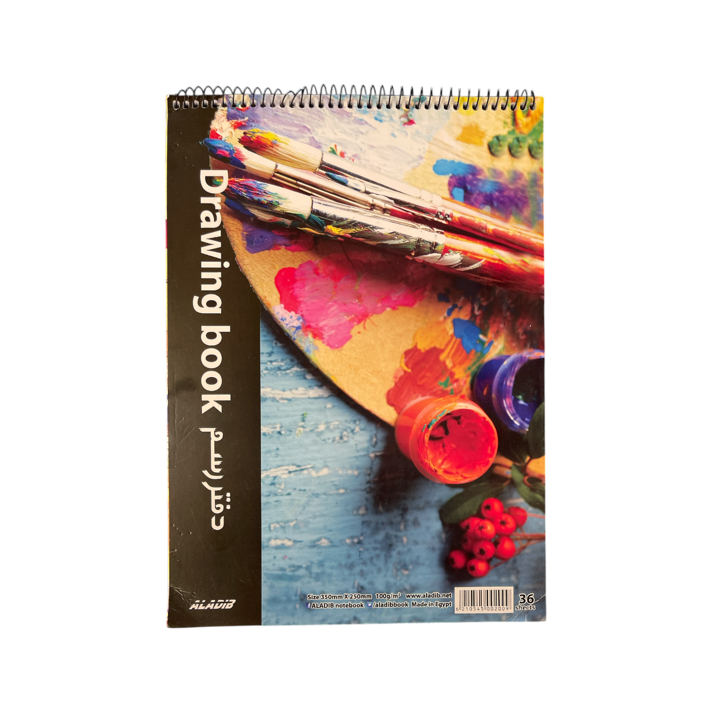 Spiral Drawing Book 350mm*250mm Set Of 36 White Sheets - Multi Color