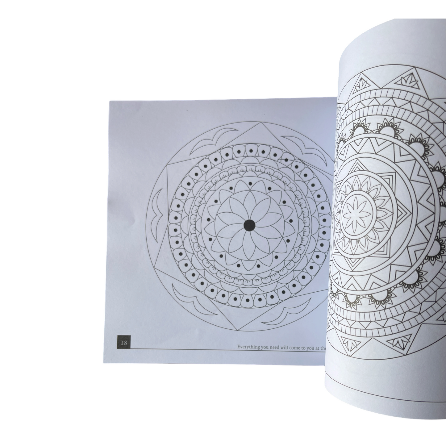 67 Sketched Mandalas Adult Coloring Book