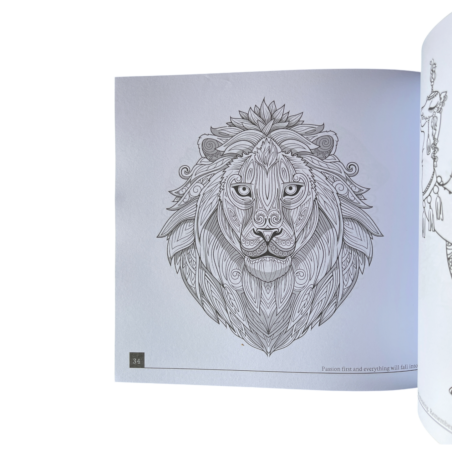 67 Sketched Mandalas Adult Coloring Book