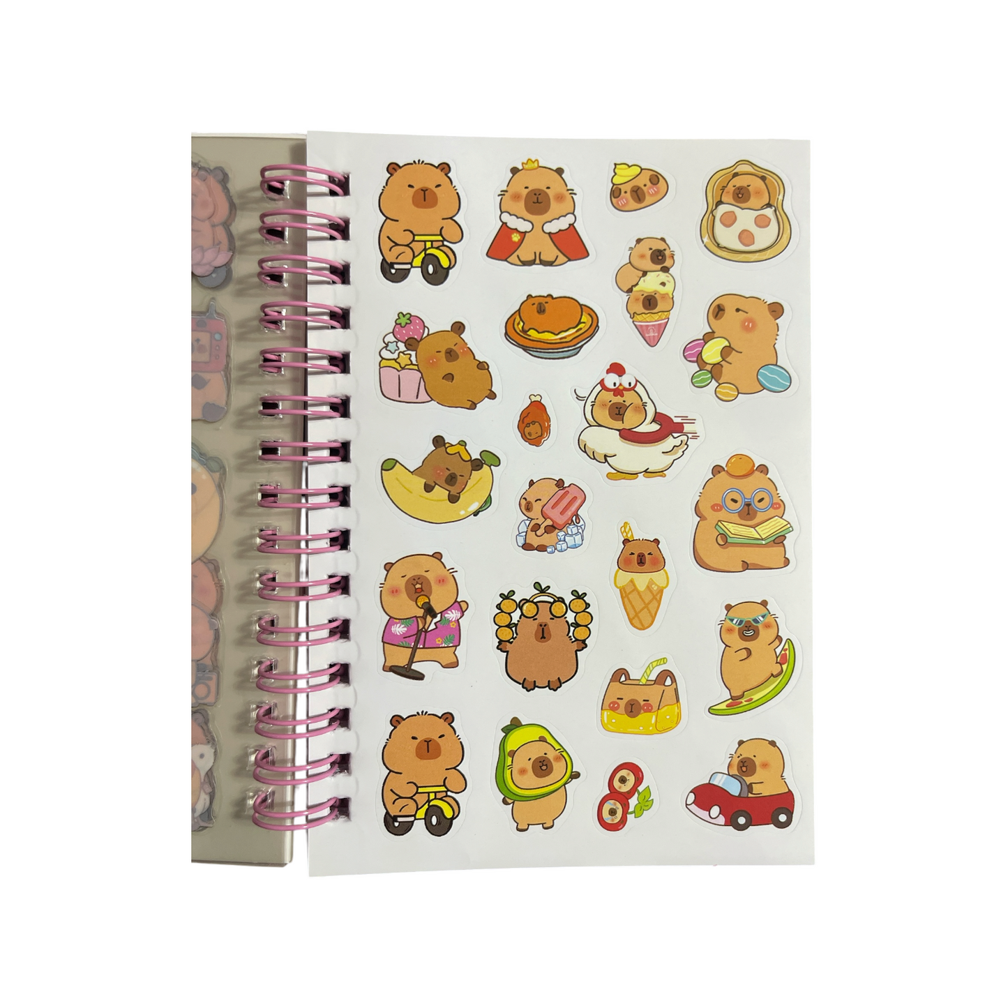 3-in-1 Cute Notebook Set!
