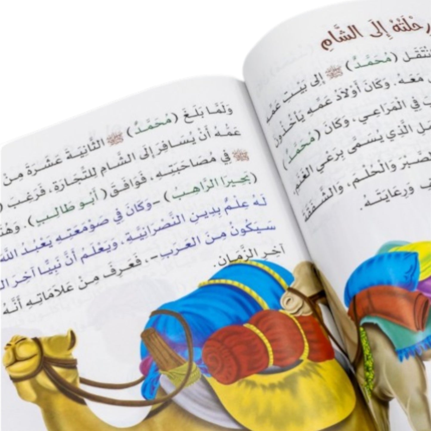 مجلد قصص الأنبياء و كتابين السيرة النبوية
