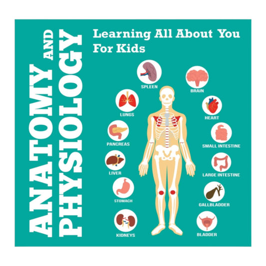 Kids 3-6 Anatomy And Physiology: Learning All About You For Kids