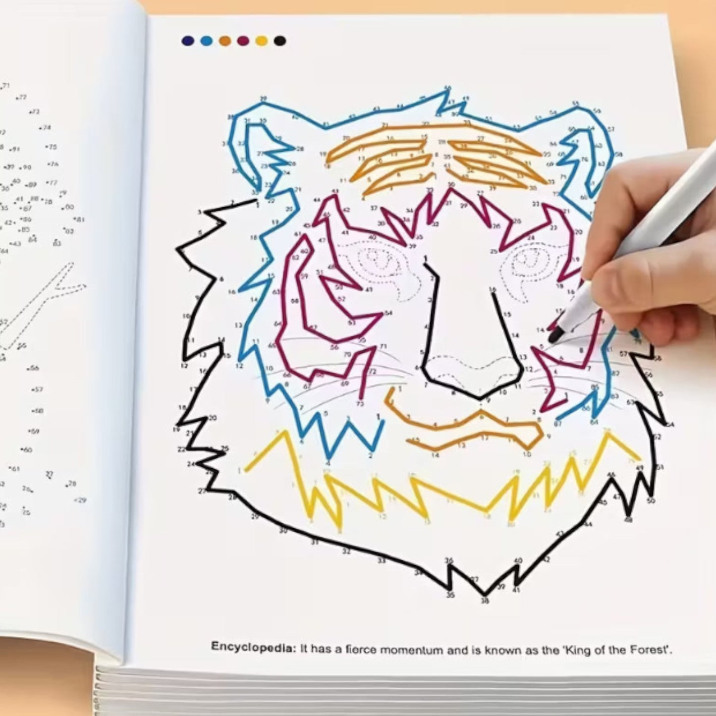 An Activity Book with Numbered Dot-to-Dot Patterns and Coloring Pages,
