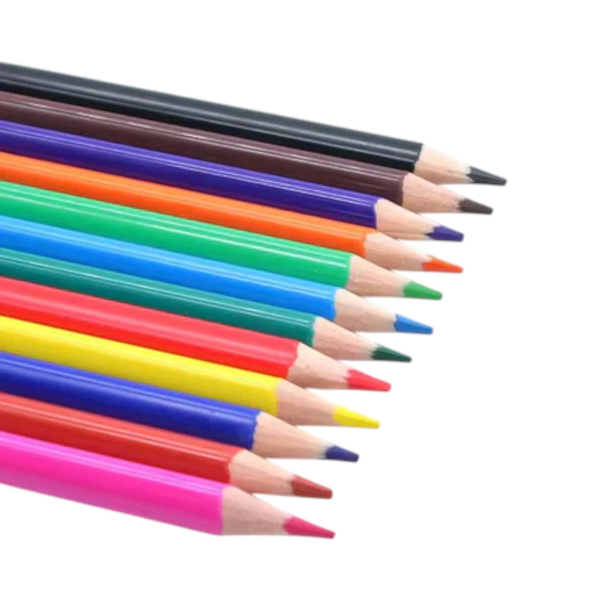Yalong Color Pencil 24Pc 1Pck