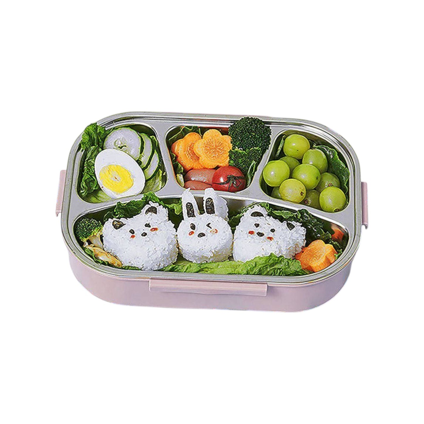 Stainless + Plastic Lunch Box