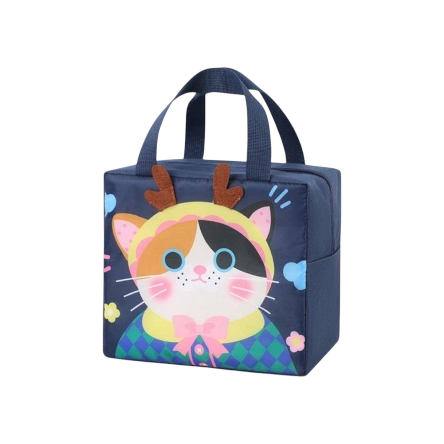 Cute Insulated Lunch Box Bags